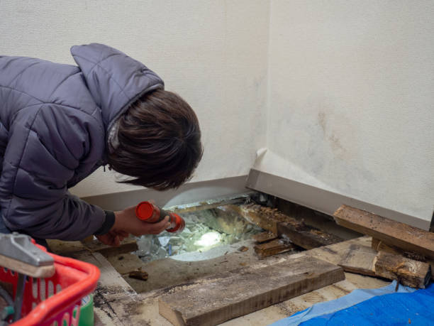 Biohazard Mold Removal in Mechanicsburg, OH